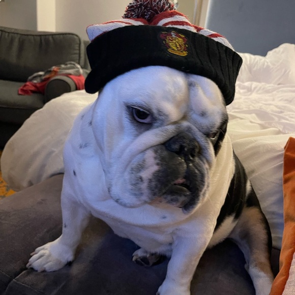 Meet your Posher, Tamara - Picture 2 of 3